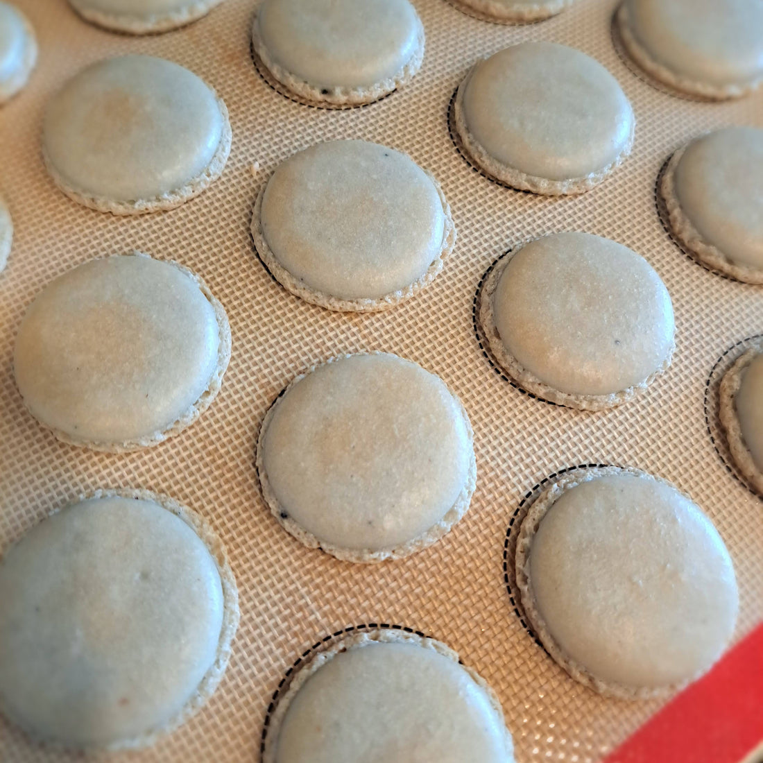 Experiment 1: Butterfly Pea Powder, Part 1